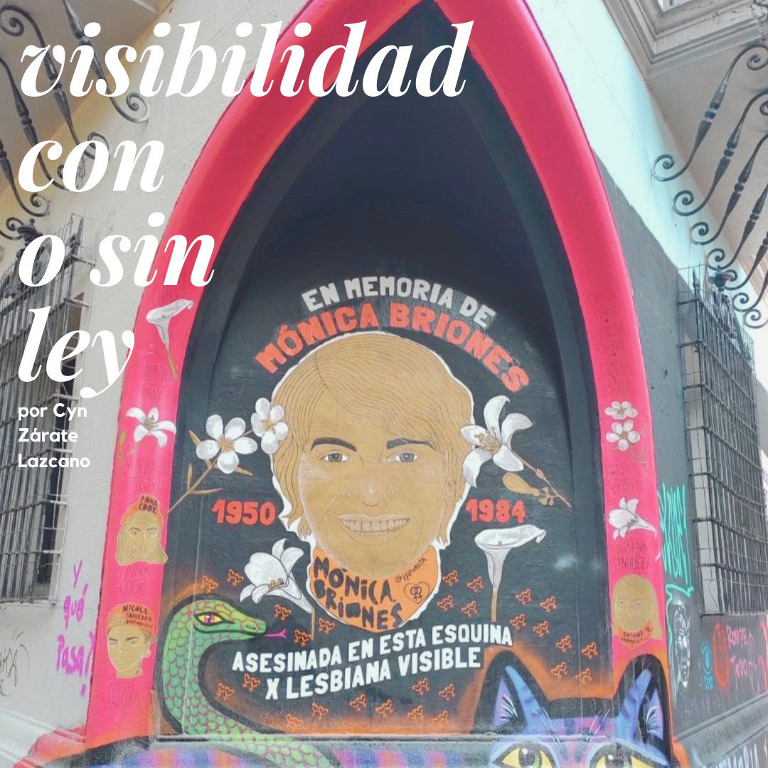 Visibilidad lésbica con o sin ley por Cyn Zárate Lazcano – Centro de  Estudios de la realidad social